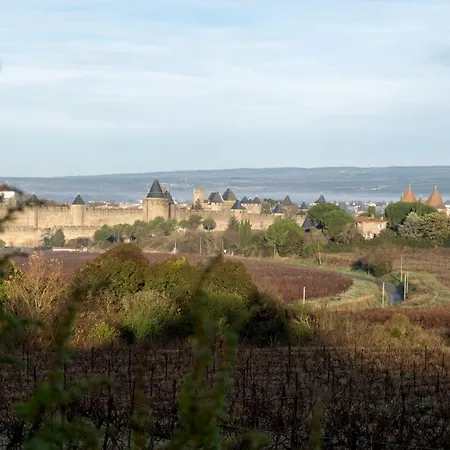 Villa Des Cathares Carcassonne