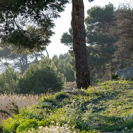 Villa Des Cathares *