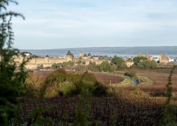 Villa Des Cathares Carcassonne